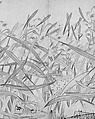 Narcissus, Zhao Mengjian (Chinese, 1199–before 1267), Handscroll; ink on paper, China